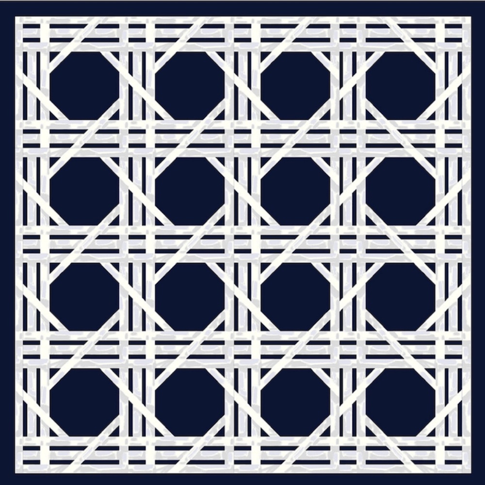 C. Wonder Navy Blue and White Pillowcase 23x23 SET OF 2‎